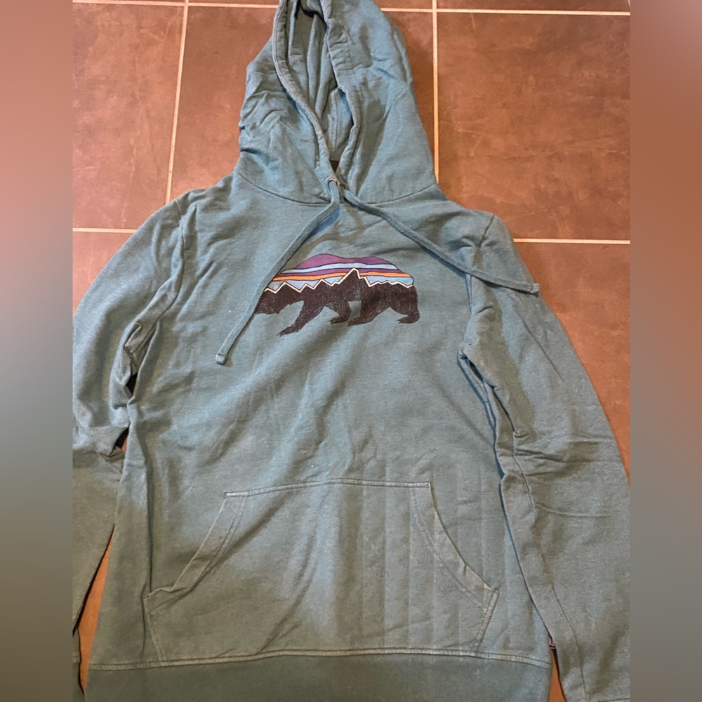 Patagonia teal blue hoodie with bear logo organic cotton